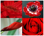 red